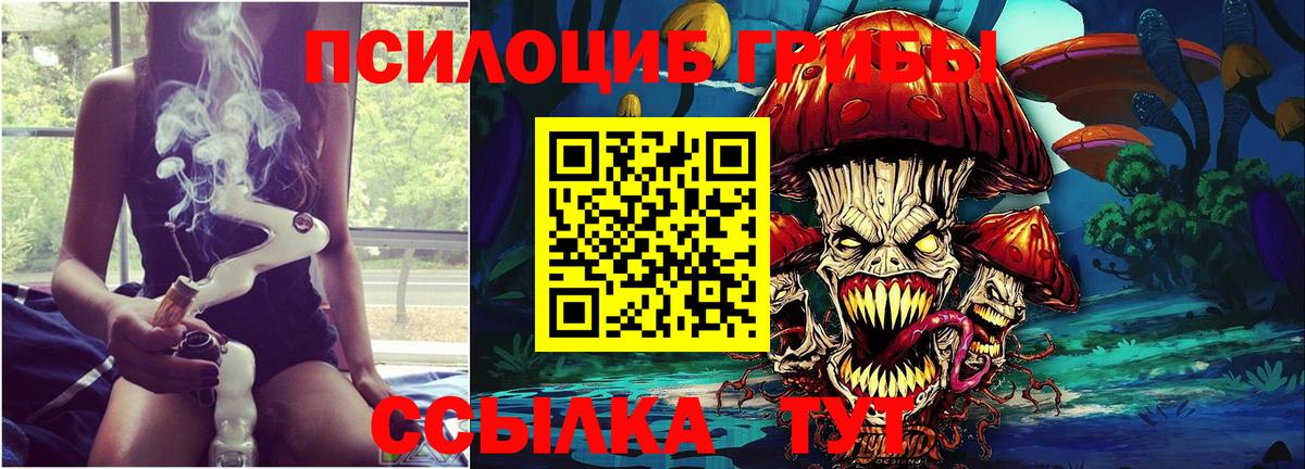 Псилоцибиновые грибы GOLDEN TEACHER  Вход с VPN  Алейск 