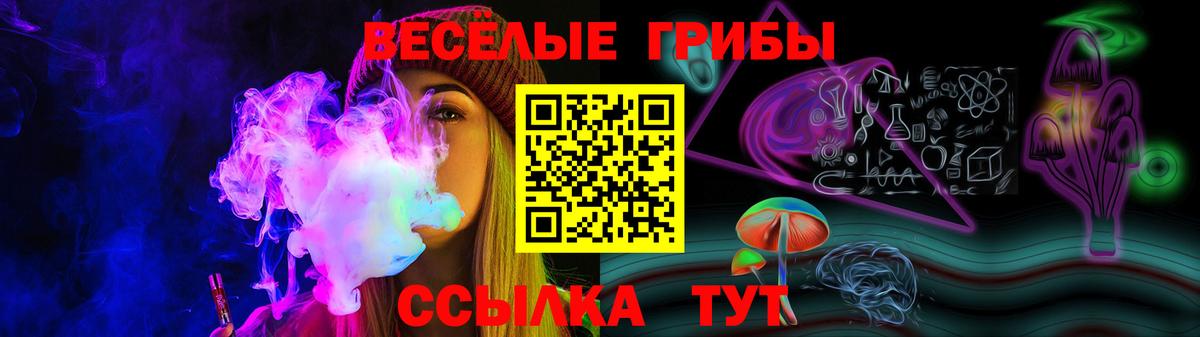Галлюциногенные грибы Cubensis Алейск